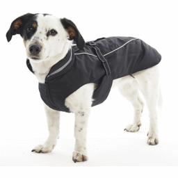 Buster Outdoor Vinterjakke Til Hunden Sort